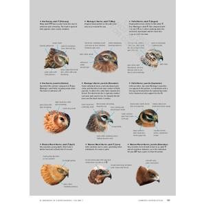 ID HANDBOOK OF EUROPEAN BIRDS (2-VOLUME SET) 5