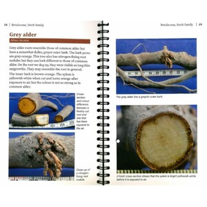 ROOTS A FIELD GUIDE FOR IDENTIFICATION_1