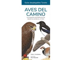 AVES DEL CAMINO. LAS ESPECIES MÁS FÁCILES DE VER DESDE LAS CARRETERAS Y EL TREN. GUÍAS DESPLEGABLES TUNDRA