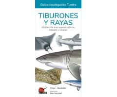 TIBURONES Y RAYAS. INTRODUCCIÓN A LAS ESPECIES IBÉRICAS, BALEARES Y CANARIAS. GUÍAS DESPLEGABLES TUNDRA