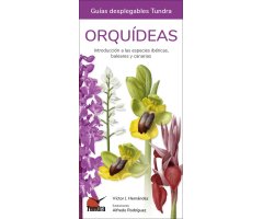 ORQUÍDEAS. INTRODUCCIÓN A LAS ESPECIES IBÉRICAS, BALEARES Y CANARIAS. GUÍAS DESPLEGABLES TUNDRA