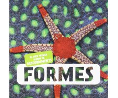 FORMES. EL MEU PRIMER ÀLBUM DE DESCOBRIMENTS