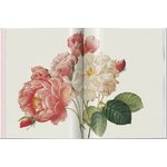 ROSES 3