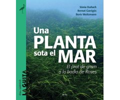 UNA PLANTA SOTA EL MAR. EL PRAT DE GRAM A LA BADIA DE ROSES