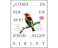 ¿CÓMO ES SER UN AVE? DE VOLAR A ANIDAR, DE COMER A CANTAR... ¿QUÉ HACEN LAS AVES Y POR QUÉ?