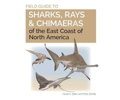 FIELD GUIDE TO SHARKS, RAYS AND CHIMAERAS OF THE EAST COAST OF NORTH AMERICA