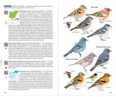 AVES DE ESPAÑA. GUÍAS DE CAMPO 3