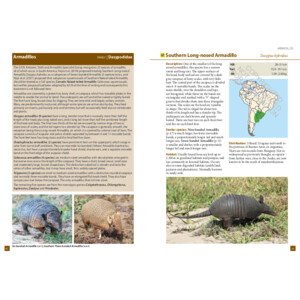 A FIELD GUIDE TO THE LARGER MAMMALS OF SOUTH AMERICA_1
