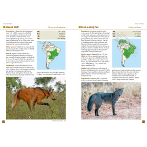 A FIELD GUIDE TO THE LARGER MAMMALS OF SOUTH AMERICA 4