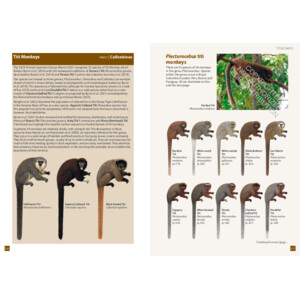 A FIELD GUIDE TO THE LARGER MAMMALS OF SOUTH AMERICA 5