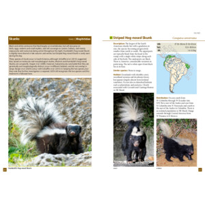 A FIELD GUIDE TO THE LARGER MAMMALS OF SOUTH AMERICA 6
