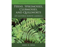 FERNS, SPIKEMOSSES, CLUBMOSSES AND QUILLWORTS OF EASTERN NORTH AMERICA