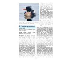 A BIRDWATCHER\'S GUIDE TO NORWAY. WHERE, WHEN AND HOW TO FIND SCANDINAVIA\'S MOST SOUGHT-AFTER BIRDS FEATURING VARANGER, SVALBARD, LOFOTEN, OSLO BERGE 4
