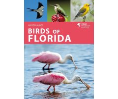 HELM WILDLIFE GUIDES. BIRDS OF FLORIDA