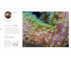THE SCIENCE OF THE OCEAN. THE SECRETS OF THE SEAS REVEALED 5