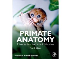 PRIMATE ANATOMY. INTRODUCTION TO EXTANT PRIMATES