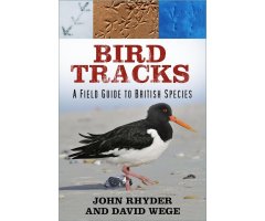 BIRD TRACKS: A FIELD GUIDE TO BRITISH SPECIES