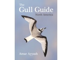 THE GULL GUIDE NORTH AMERICA