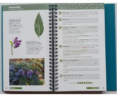 MANUAL ALPINA. PLANTES MEDICINALS 2
