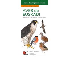 AVES DE EUSKADI. INTRODUCCIÓN A LAS ESPECIES MÁS FRECUENTES. GUÍAS DESPLEGABLES TUNDRA