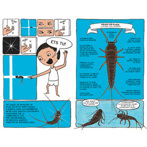 BESTIOLES. LA JUNGLA A CASA_1