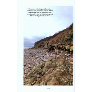 A GUIDE TO FOSSIL COLLECTING IN ENGLAND AND WALES 3