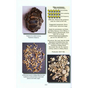 A GUIDE TO FOSSIL COLLECTING IN ENGLAND AND WALES 5