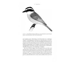 HOW BIRDS EVOLVE. WHAT SCIENCE REVEALS ABOUT THEIR ORIGIN, LIVES & DIVERSITY 2