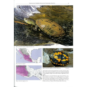 REPTILES OF OAXACA. TURTLES, CROCODILES, LIZARDS AND SNAKES OF MEXICO'S MOST BIODIVERSE STATE_1