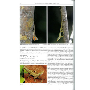 REPTILES OF OAXACA. TURTLES, CROCODILES, LIZARDS AND SNAKES OF MEXICO'S MOST BIODIVERSE STATE 3