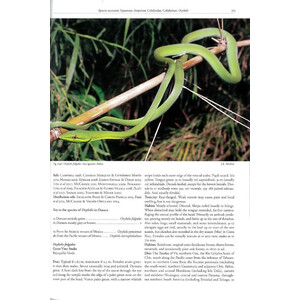 REPTILES OF OAXACA. TURTLES, CROCODILES, LIZARDS AND SNAKES OF MEXICO'S MOST BIODIVERSE STATE 4