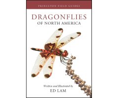 DRAGONFLIES OF NORTH AMERICA