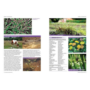 THE NATURE OF THE NEW FOREST. CELEBRATING THE WILDLIFE OF A WORKING COMMON_1