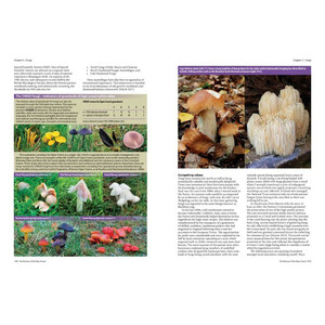 THE NATURE OF THE NEW FOREST. CELEBRATING THE WILDLIFE OF A WORKING COMMON 3