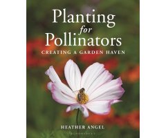 PLANTING FOR POLLINATORS. CREATING A GARDEN HEAVEN