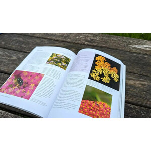 PLANTING FOR POLLINATORS. CREATING A GARDEN HEAVEN_1