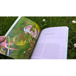 PLANTING FOR POLLINATORS. CREATING A GARDEN HEAVEN 3