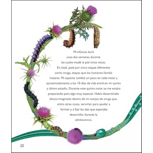 LA MAGIA DE LA TRANSFORMACION 4