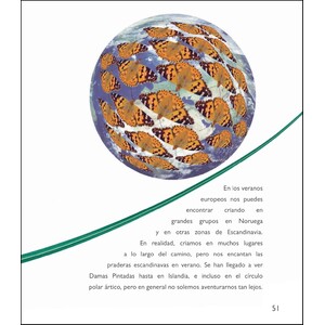 LA MAGIA DE LA TRANSFORMACION 5