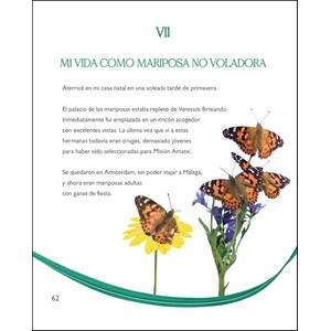 LA MAGIA DE LA TRANSFORMACION 6