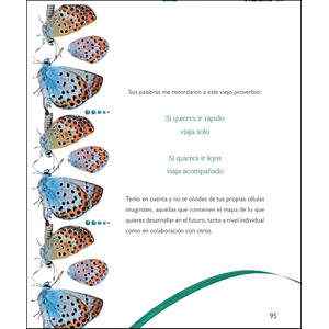 LA MAGIA DE LA TRANSFORMACION 7