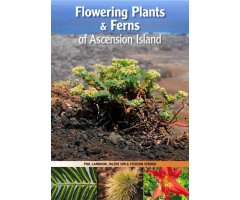 FLOWERING PLANTS & FERNS OF ASCENSION ISLAND