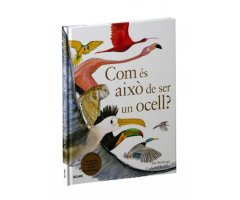 COM ÉS AIXÒ DE SER UN OCELL?
