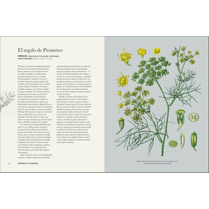 HIERBAS QUE HAN SANADO EL MUNDO Y OTRAS HISTORIAS DE PLANTAS EXTRAORDINARIAS_1