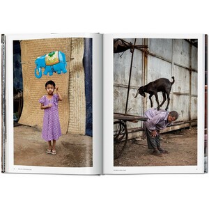 STEVE MC CURRY. ANIMALS 4