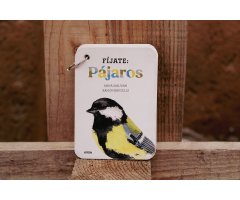 FÍJATE PÁJAROS