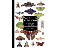 MOTHS OF THE WORLD: A NATURAL HISTORY