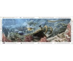 LA VIDA A TRAVÉS DEL TIEMPO. LA HISTORIA DE LOS 700 MILLONES DE AÑOS EN LA TIERRA 2