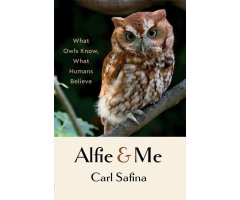 ALFIE AND ME: WHAT OWLS KNOW, WHAT HUMANS BELIEVE