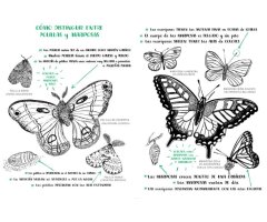 HOLA, NATURA. EXPLORA, DIBUJA, CREA Y DESCUBRE LA NATURALEZA 2